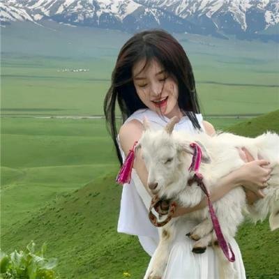 会计师2